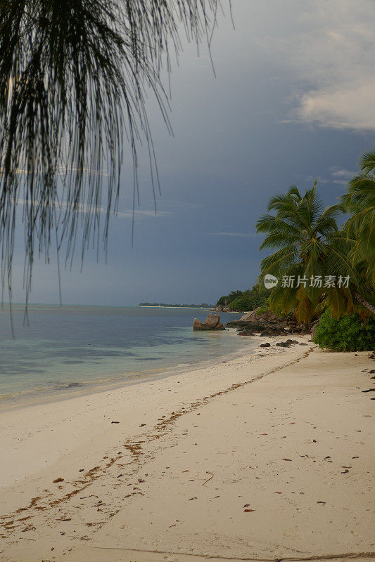 Anse ship, Praslin，塞舌尔